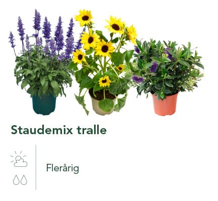 Staduemix tralle