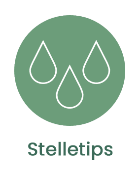 Stelletips
